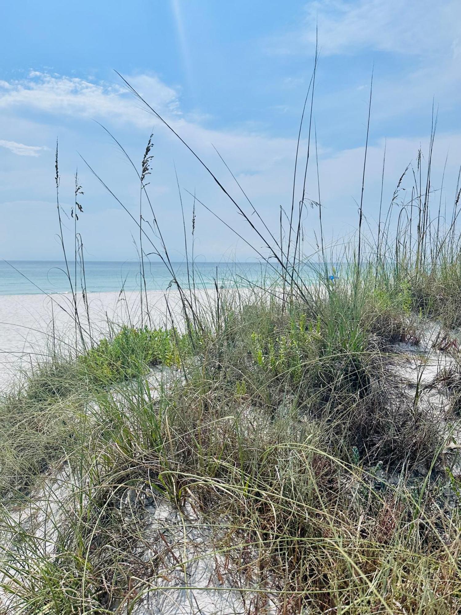Sea Salt Vacation Home, Private Pool - Walk To Beach Panama City Beach Exterior photo